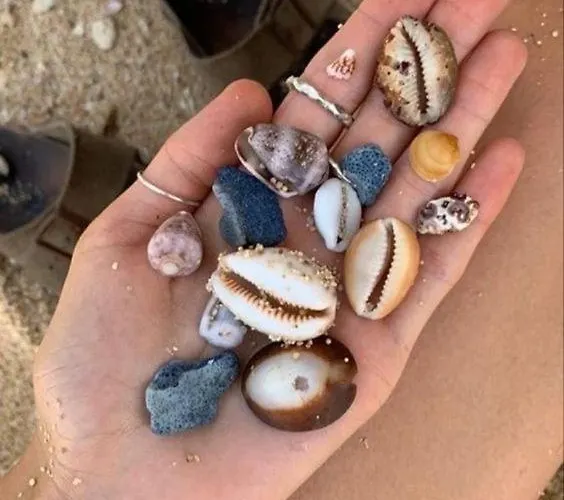 Family Large In Bahceli *